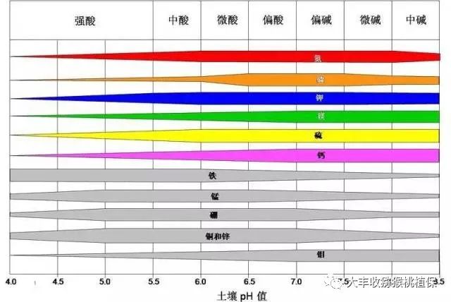 微信圖片_20180416115809.jpg